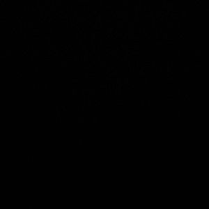 Meet your Posher, Zy